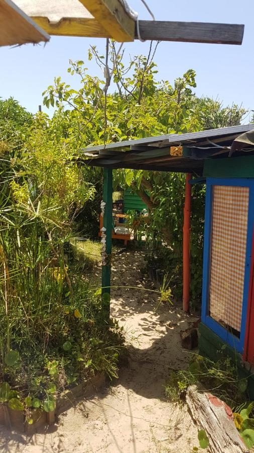 Ajo Aloha Hostel กาโบโปโลนิโอ ภายนอก รูปภาพ