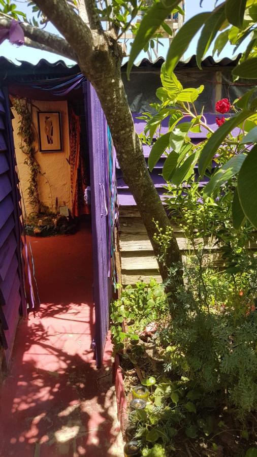Ajo Aloha Hostel กาโบโปโลนิโอ ภายนอก รูปภาพ